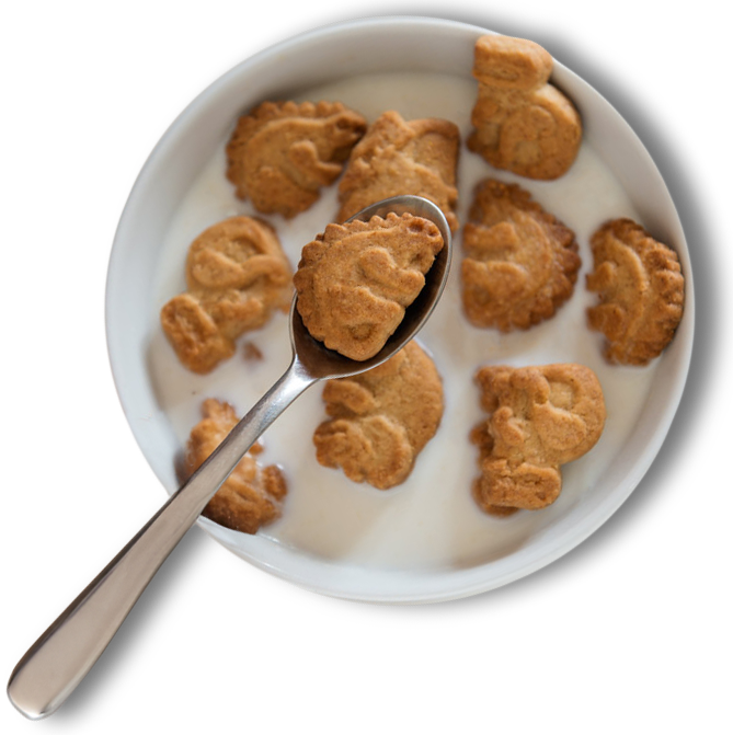 ARTIACH Dinosaurus galletas de cereales con vitaminas sin azúcares caja 185  gr : : Alimentación y bebidas